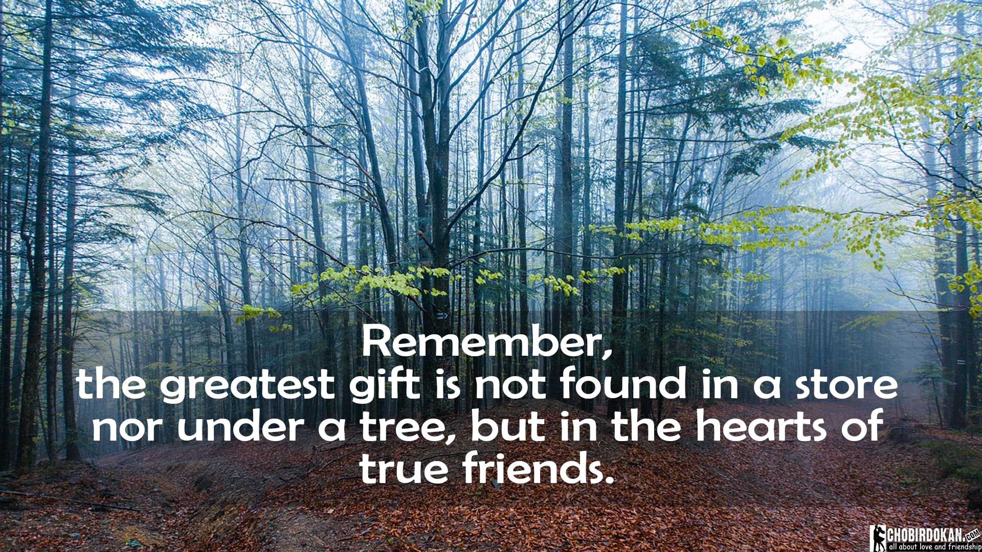 20+ Long Distance Friendship Quotes Images -Chobirdokan