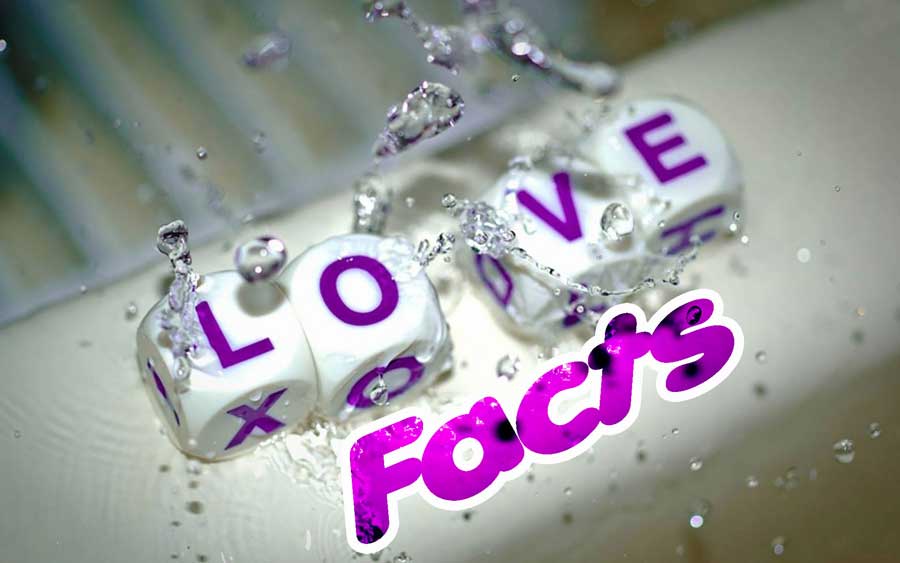 20 Interesting Facts About Love Funny Love Facts For All