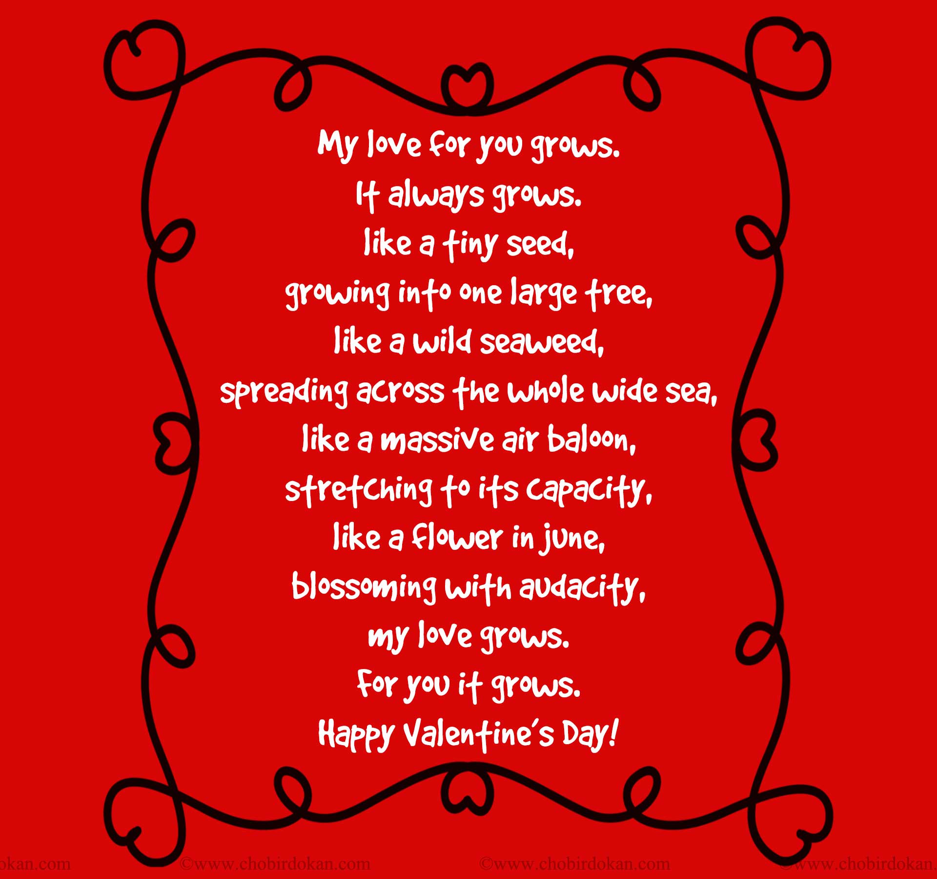 Valentines Poems For Him; For Your Boyfriend or Husband|Poems|Chobirdokan