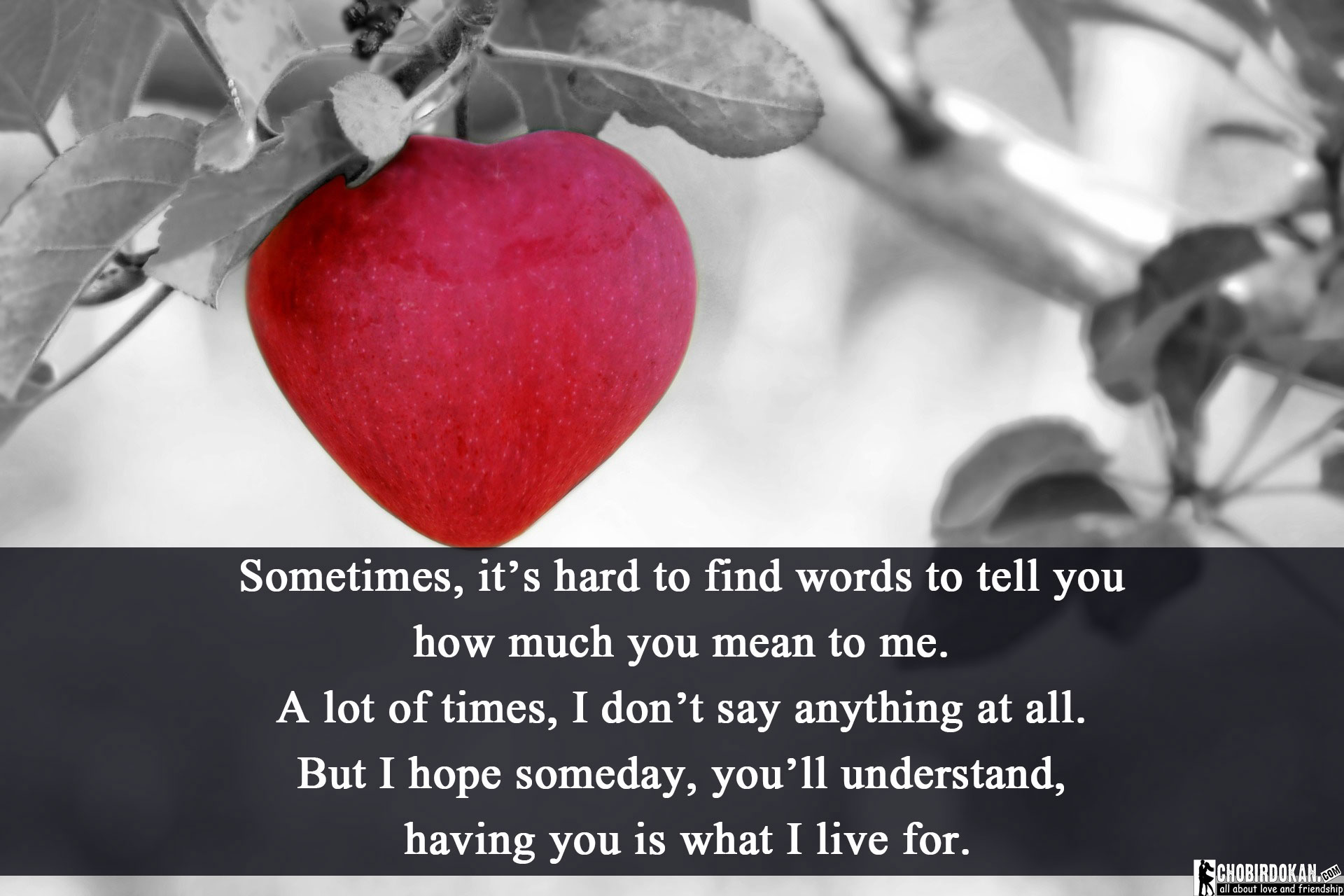 you are amazing quote pic