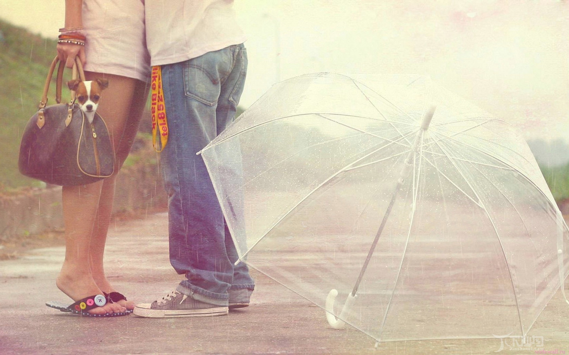 20+ Love couple s Romance in the Rain Wallpapers