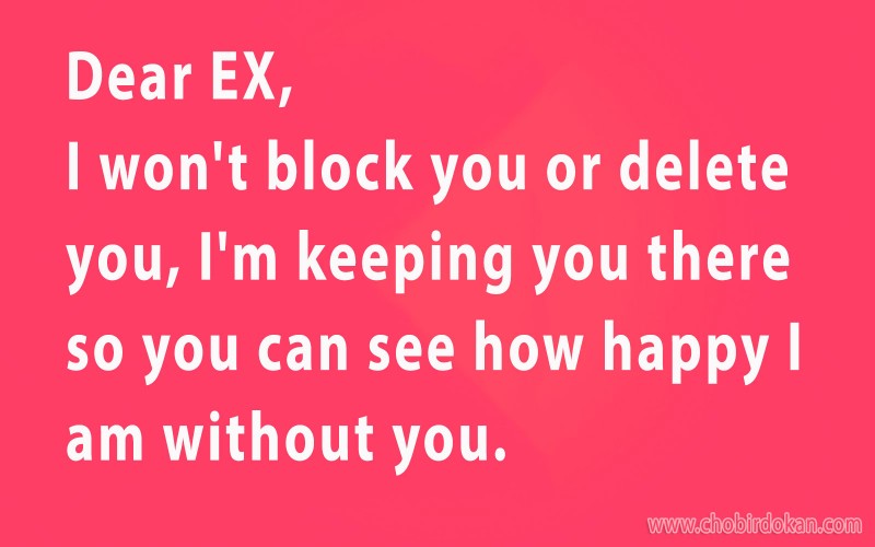 dear ex girlfriend quotes