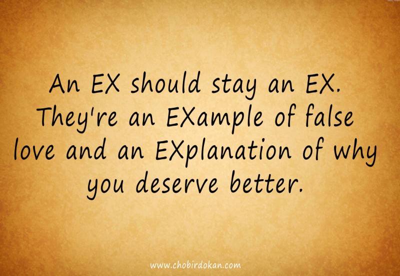 dear ex wife quote