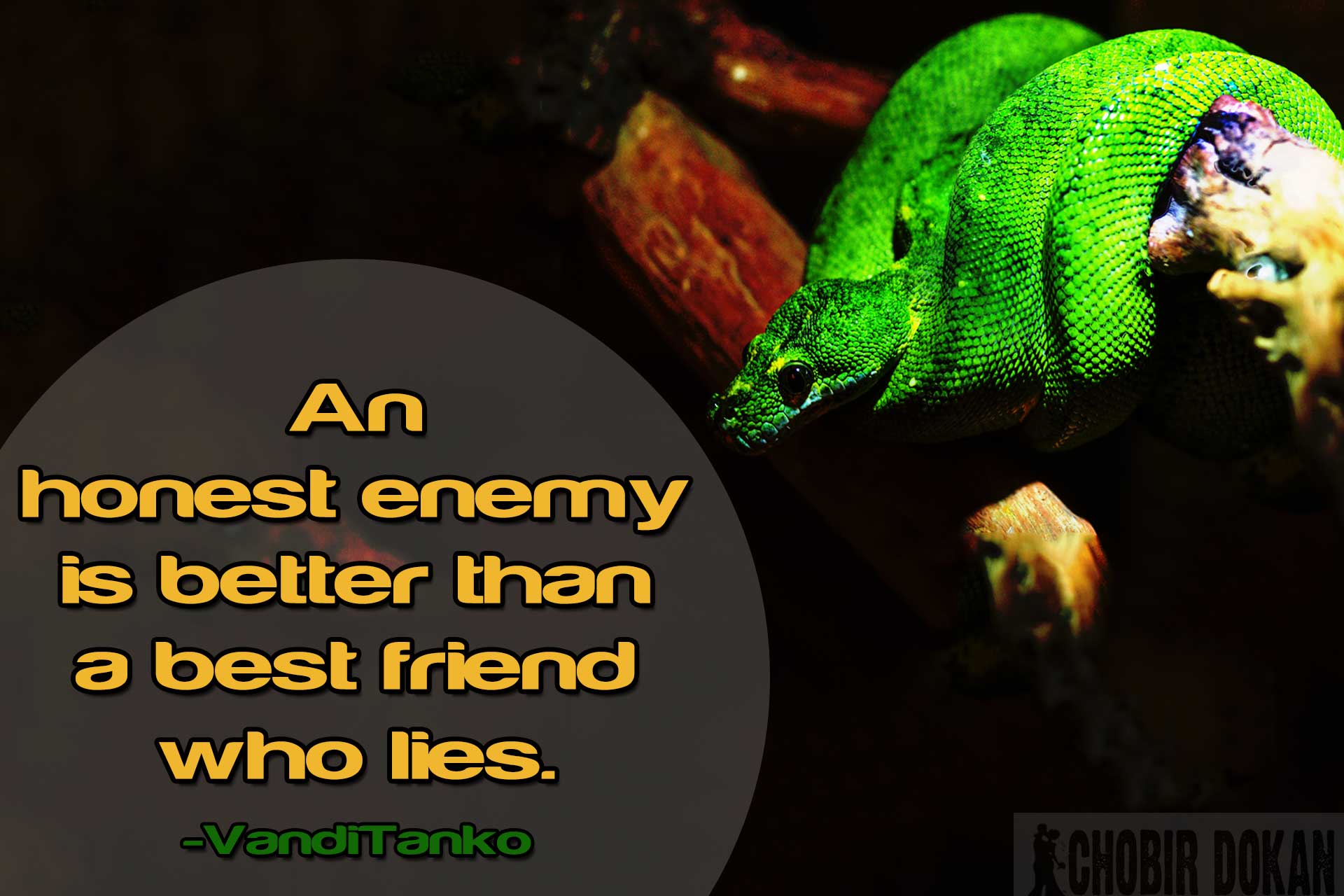 fake friends picture quotes