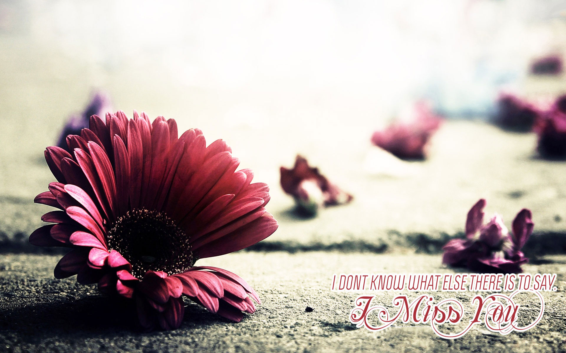 miss you images with quotes